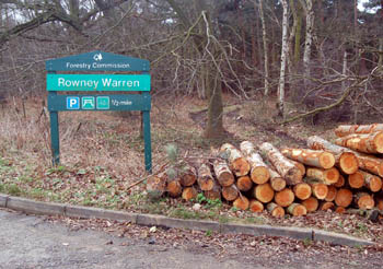 Rowney Warren March 2008